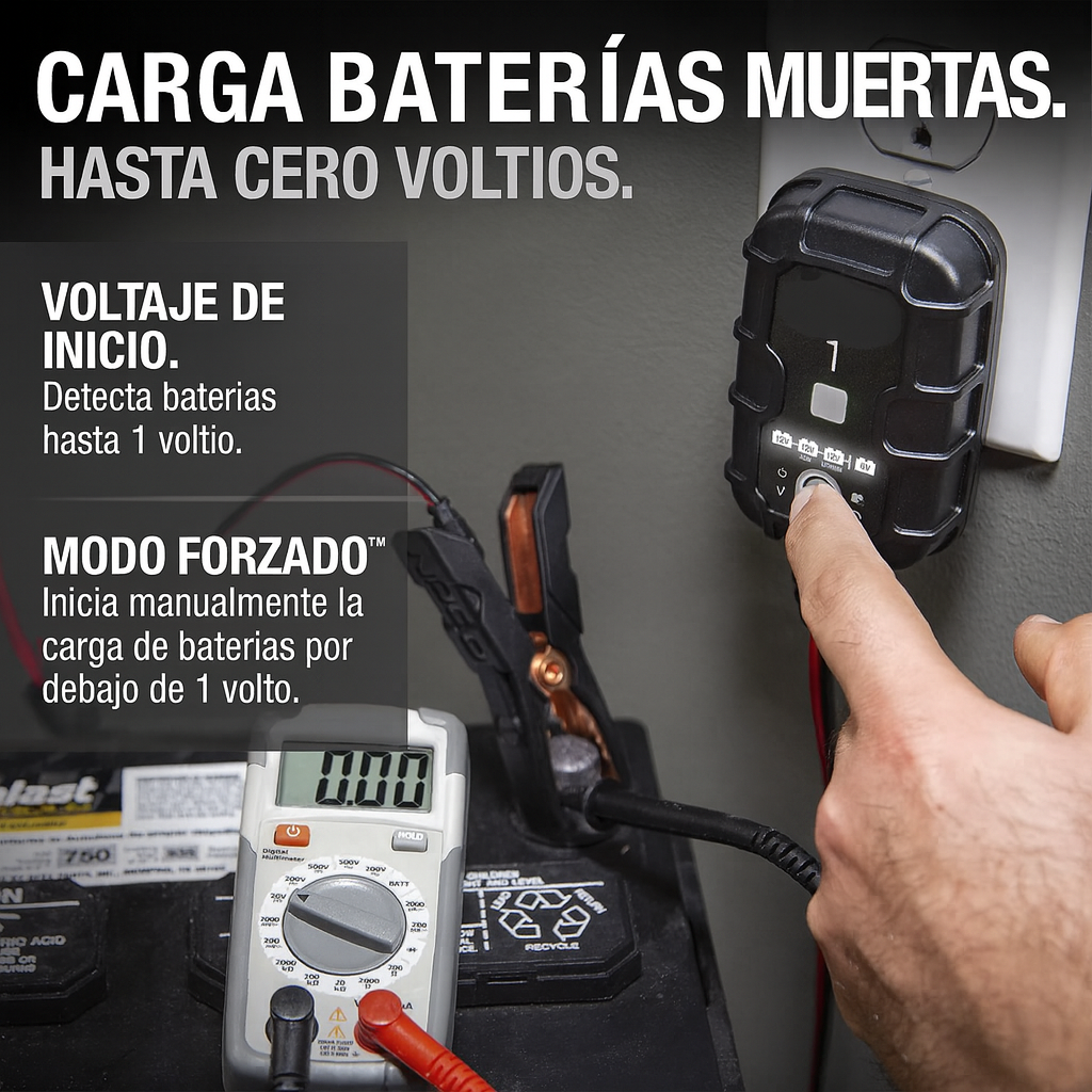 Cargador Inteligente de Baterías