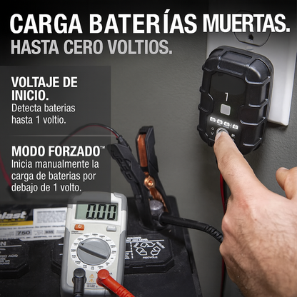 Cargador Inteligente de Baterías