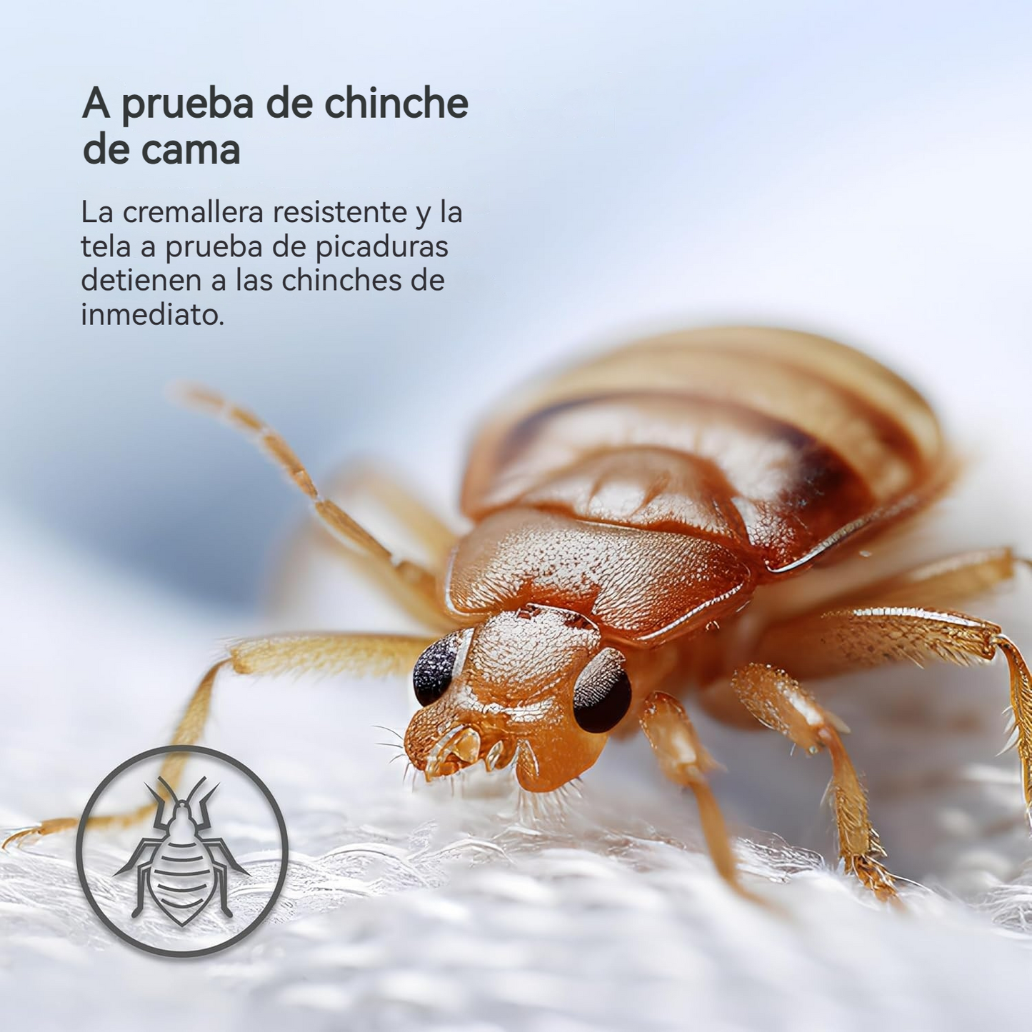 Protector de Colchón contra Ácaros y Chinches